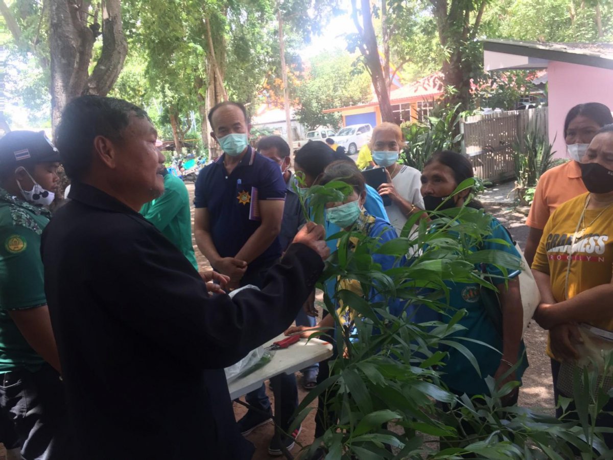โครงการอบรมส่งเสริมการเพาะขยายพันธุ์พืชตำบลอุดมทรัพย์ 
