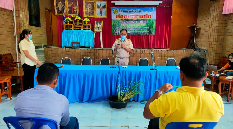 โครงการส่งเสริมปลูกหญ้าแฝก ประจำปีงบประมาณ พ.ศ. 2565