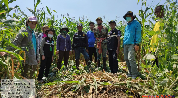 ตรวจสอบความเสียหายภัยพิบัติจากสัตว์ป่าทำลายพืชผลทางการเกษตร