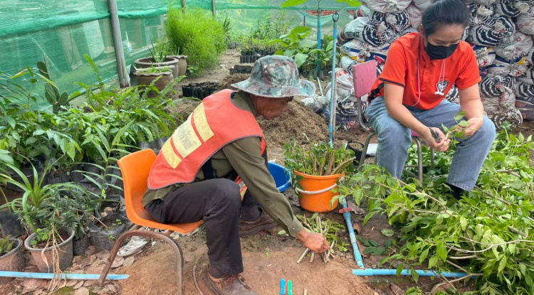 โครงการเพาะขยายพันธุ์พืชตำบลอุดมทรัพย์