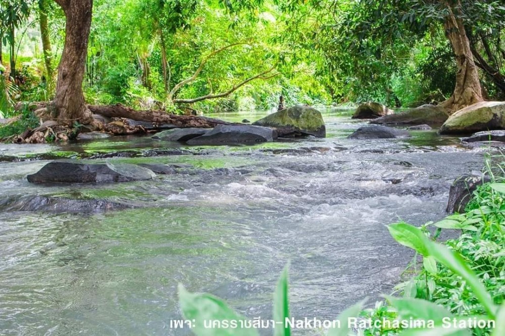 ธารท่าลี่