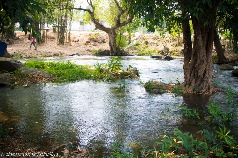 ธารท่าลี่
