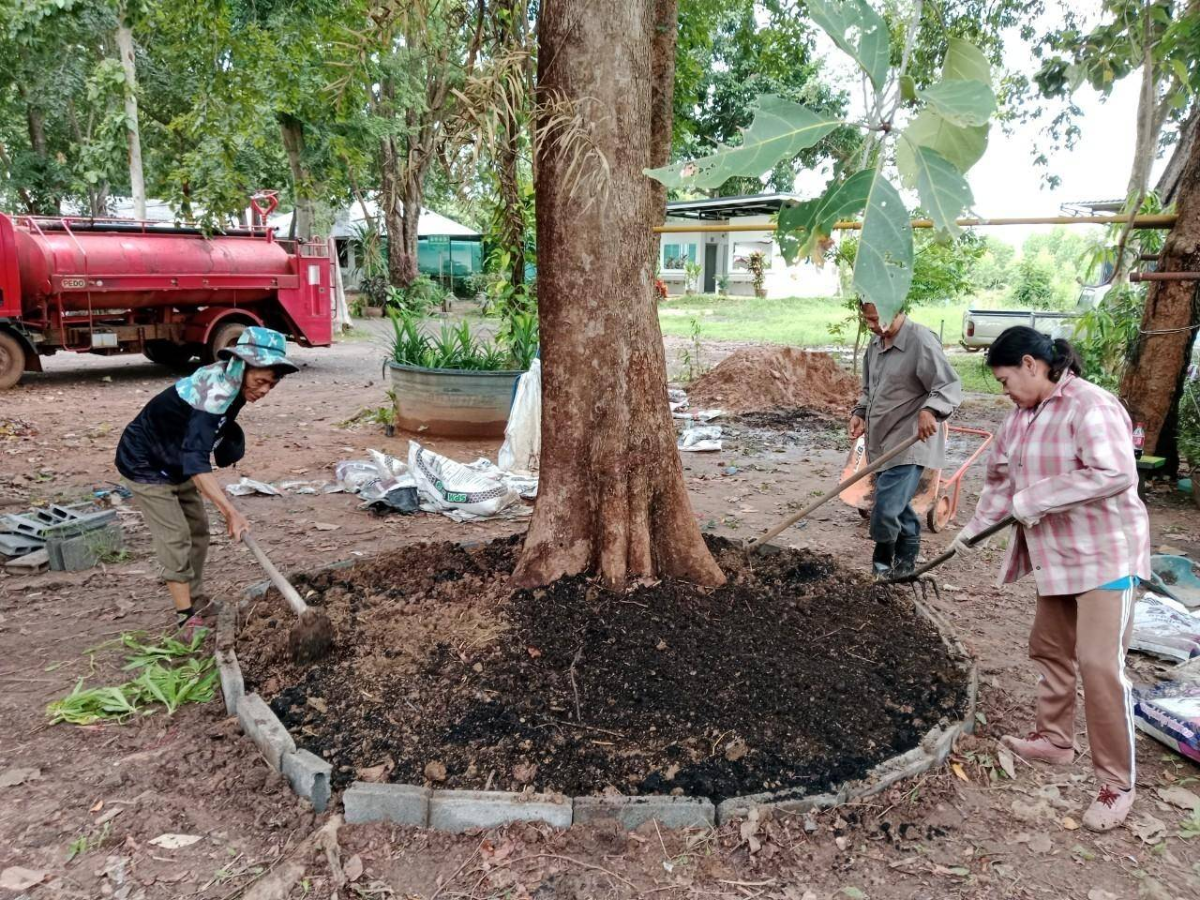 โครงการอนุรักษ์พันธุกรรมพืชตามแนวพระราชดำริฯ
