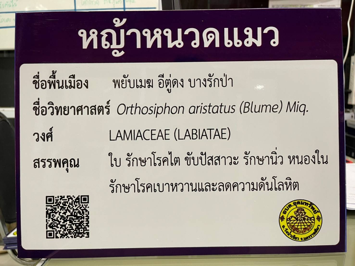 โครงการอนุรักษ์พันธุกรรมพืชตามแนวพระราชดำริฯ