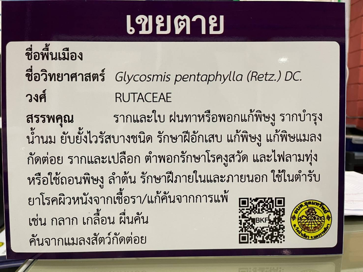 โครงการอนุรักษ์พันธุกรรมพืชตามแนวพระราชดำริฯ