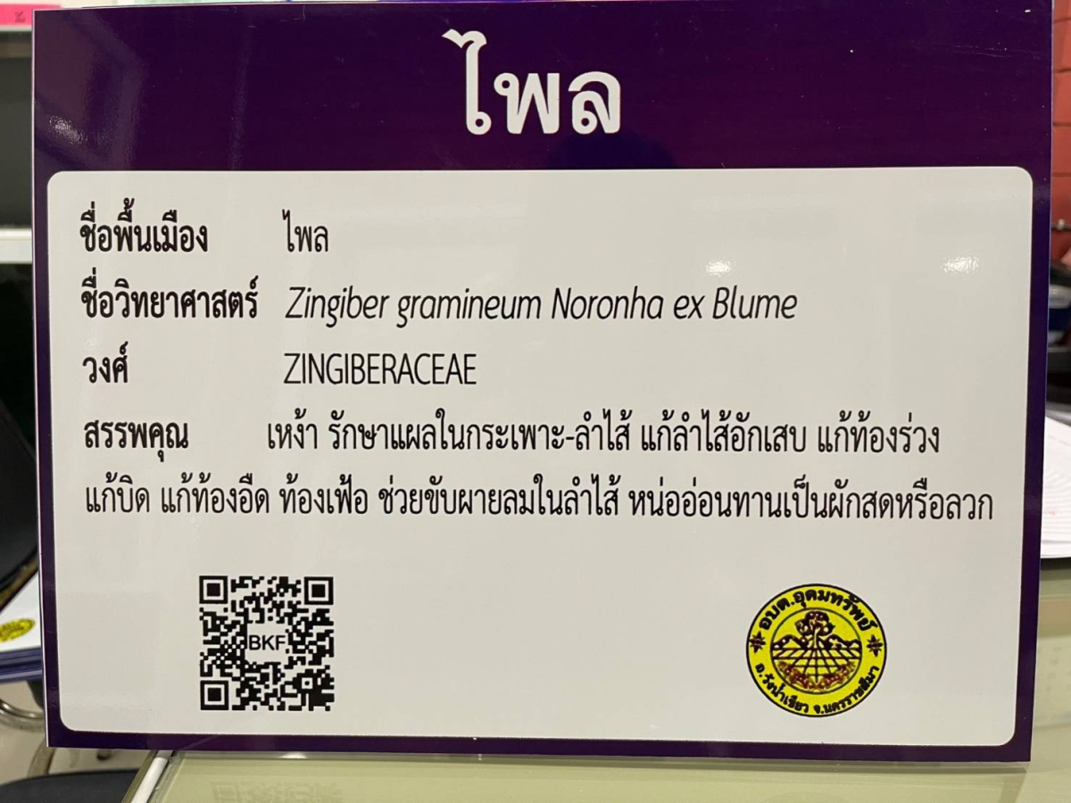 โครงการอนุรักษ์พันธุกรรมพืชตามแนวพระราชดำริฯ