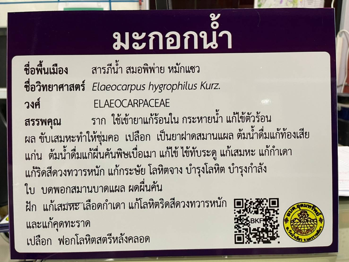 โครงการอนุรักษ์พันธุกรรมพืชตามแนวพระราชดำริฯ
