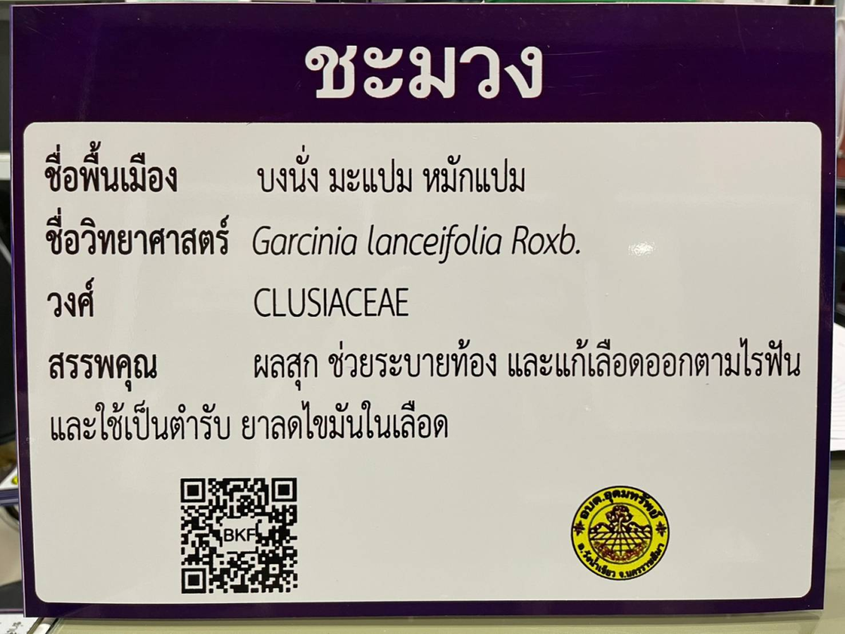 โครงการอนุรักษ์พันธุกรรมพืชตามแนวพระราชดำริฯ