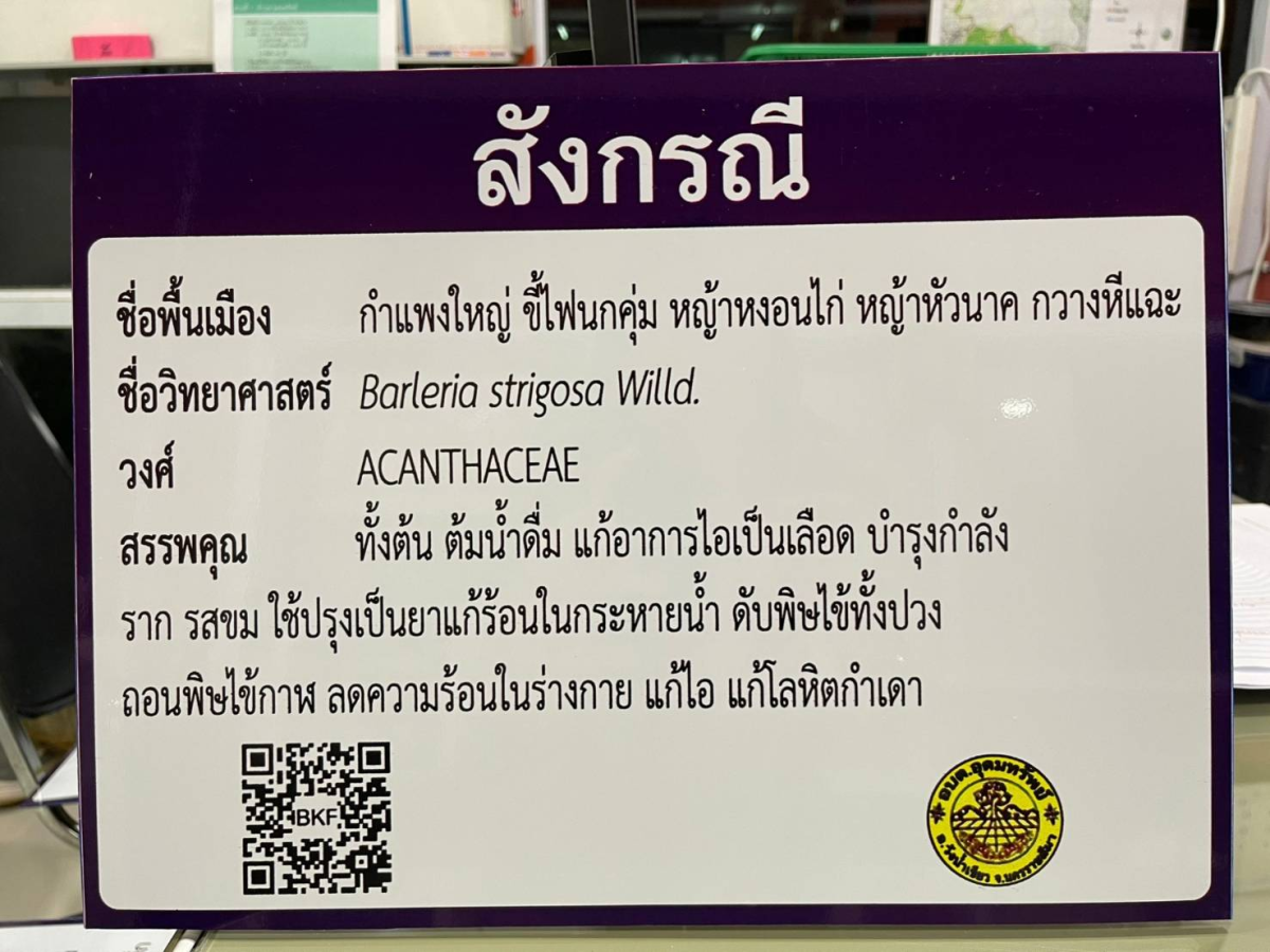 โครงการอนุรักษ์พันธุกรรมพืชตามแนวพระราชดำริฯ