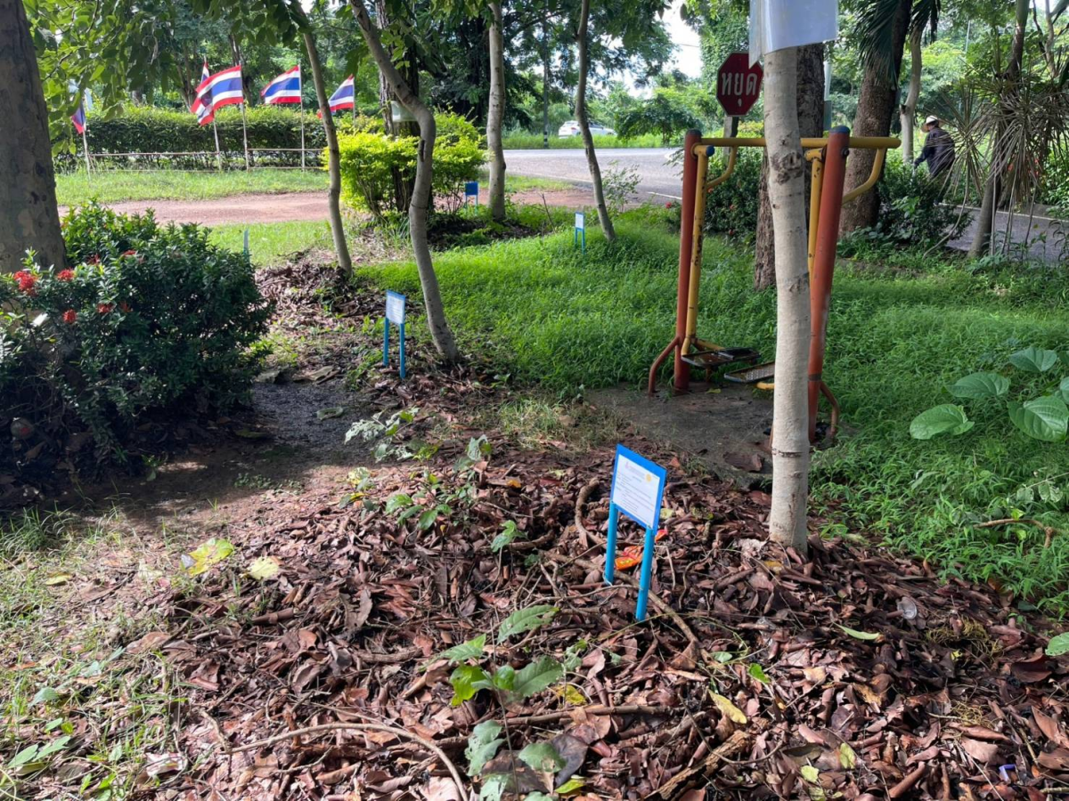 โครงการอนุรักษ์พันธุกรรมพืชตามแนวพระราชดำริฯ