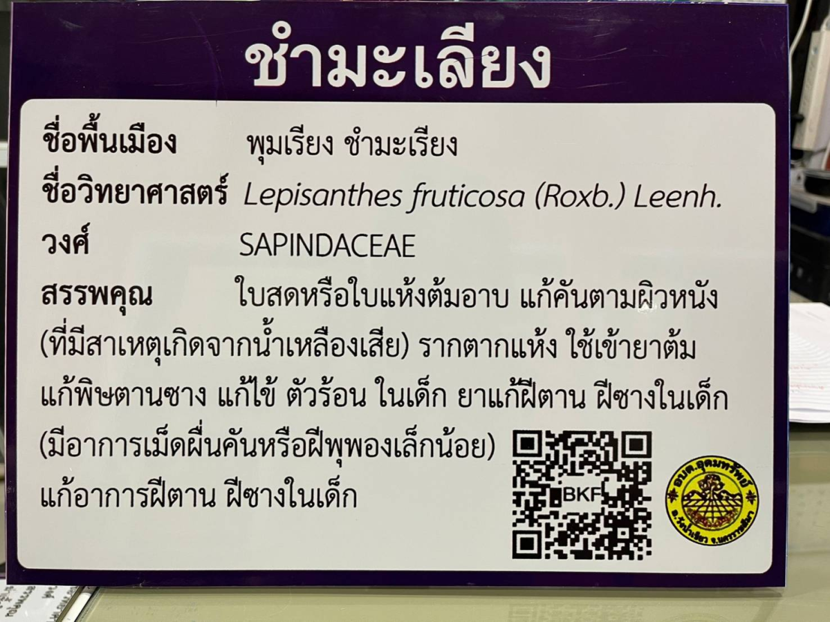 โครงการอนุรักษ์พันธุกรรมพืชตามแนวพระราชดำริฯ