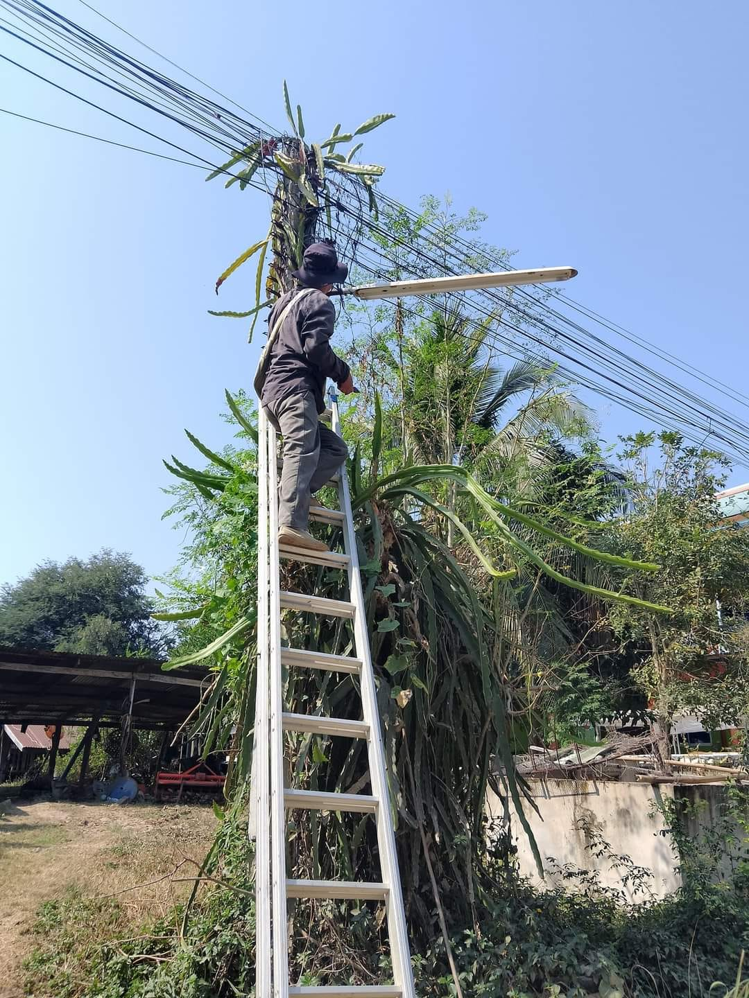 ตรวจสอบ/แก้ไขปรับปรุงและซ่อมแซมไฟฟ้าส่องสว่างภายในหมู่บ้านห้วยพรหม หมู่ที่ 8 