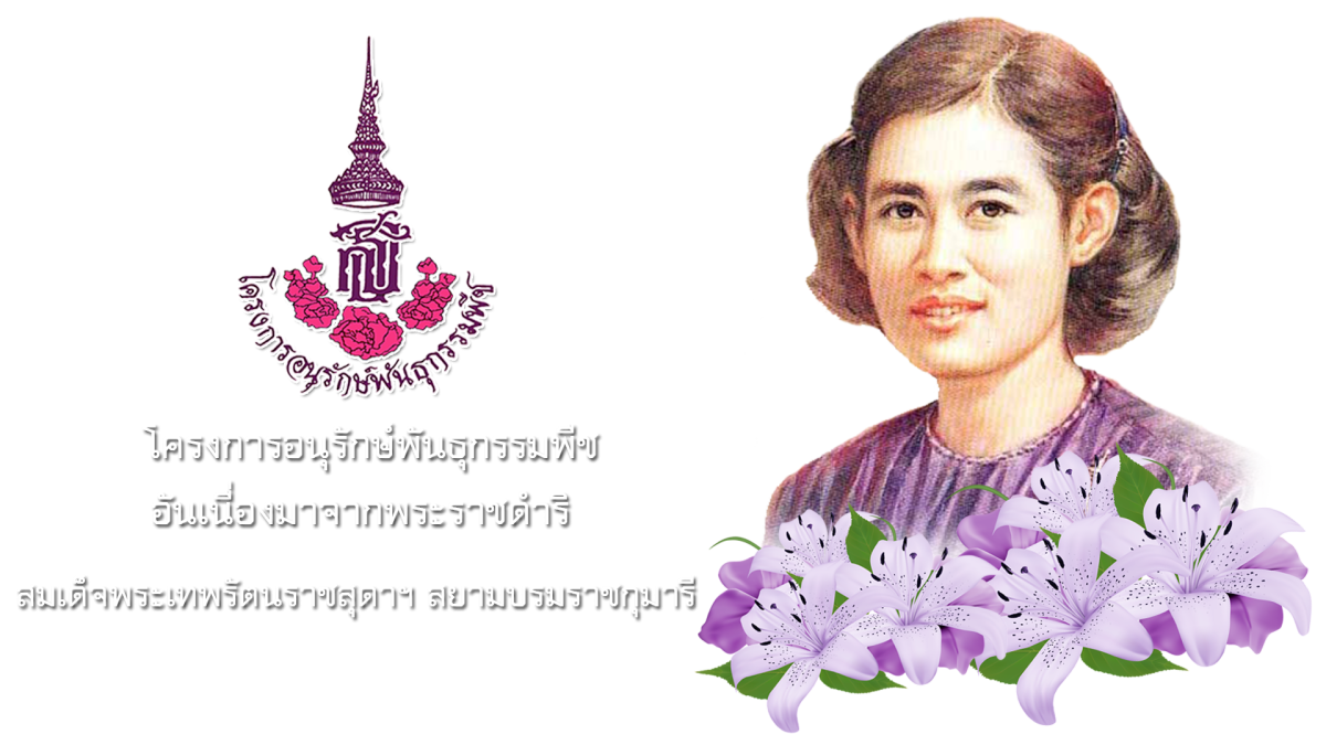 โครงการอนุรักษ์พันธุกรรมพืชตามแนวพระราชดำริฯ 