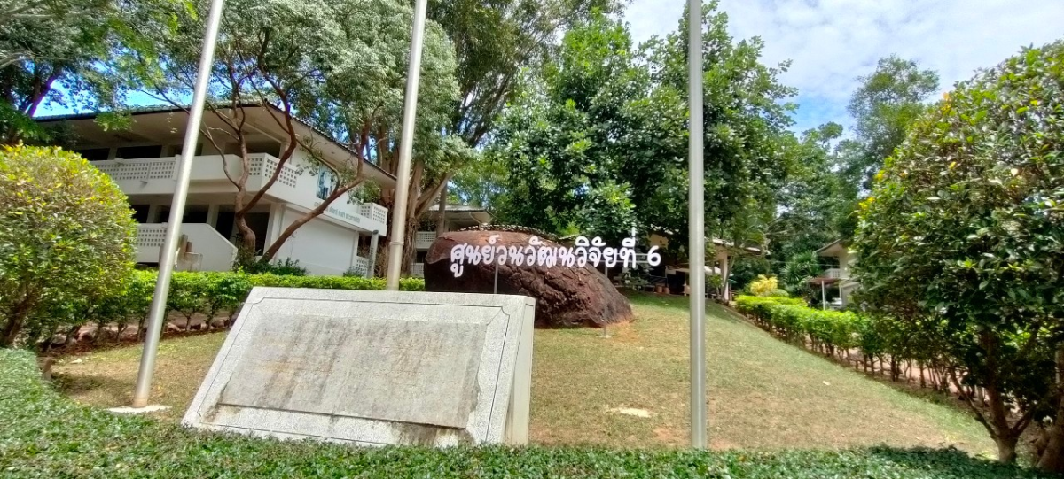 ผานางดำ ศูนย์วนวัฒนวิจัยที่ 6 นครราชสีมา