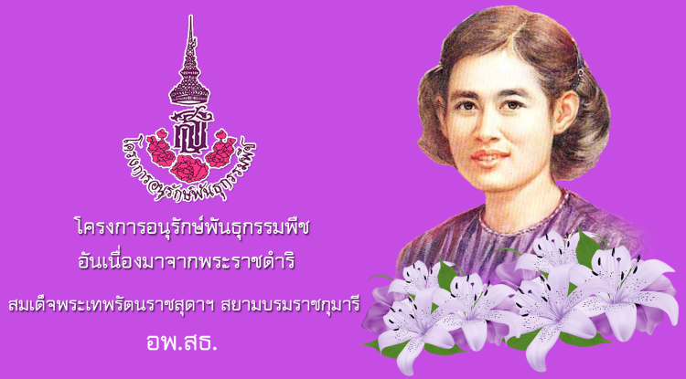 โครงการอนุรักษ์พันธุกรรมพืชตามแนวพระราชดำริสมเด็จพระเทพรัตนราชสุดาฯ สยามบรมราชกุมารี