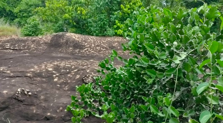 จุดชมวิว เขาอิโลตึง 