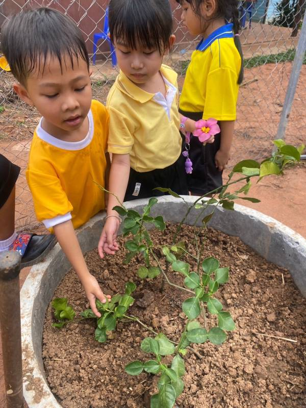 โครงการ 1 อปท. 1 สวนสมุนไพร เฉลิมพระเกียรติ พระบาทสมเด็จพระเจ้าอยู่หัว เนื่องในโอกาส วันเฉลิมพระชนมพรรษา ๖ รอบ 28 กรกฎาคม 2567