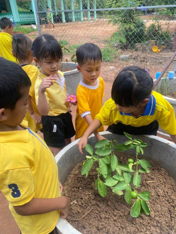 โครงการ 1 อปท. 1 สวนสมุนไพร เฉลิมพระเกียรติ พระบาทสมเด็จพระเจ้าอยู่หัว เนื่องในโอกาส วันเฉลิมพระชนมพรรษา ๖ รอบ 28 กรกฎาคม 2567