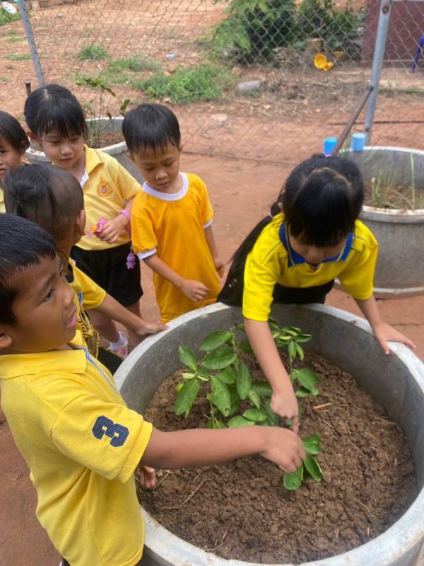 โครงการ 1 อปท. 1 สวนสมุนไพร เฉลิมพระเกียรติ พระบาทสมเด็จพระเจ้าอยู่หัว เนื่องในโอกาส วันเฉลิมพระชนมพรรษา ๖ รอบ 28 กรกฎาคม 2567