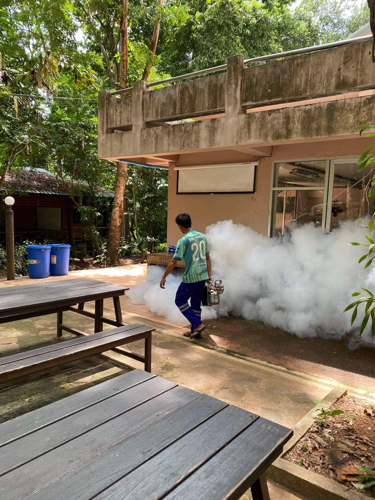 การดำเนินการฉีดพ่นหมอกควันเพื่อกำจัดลูกน้ำยุงลาย บริเวณสถานีวิจัยและฝึกนิสิตวนศาสตร์วังน้ำเขียว คณะวนศาสตร์ มหาวิทยาลัยเกษตรศาสตร์ หมู่ที่ 11