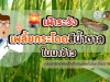 ประชาสัมพันธ์กองส่งเสริมการเกษตร องค์การบริหารส่วนตำบลอุดมทรัพย์ ถึงเกษตรกรที่ปลูกข้าว อยู่ในระยะแตกกอ 