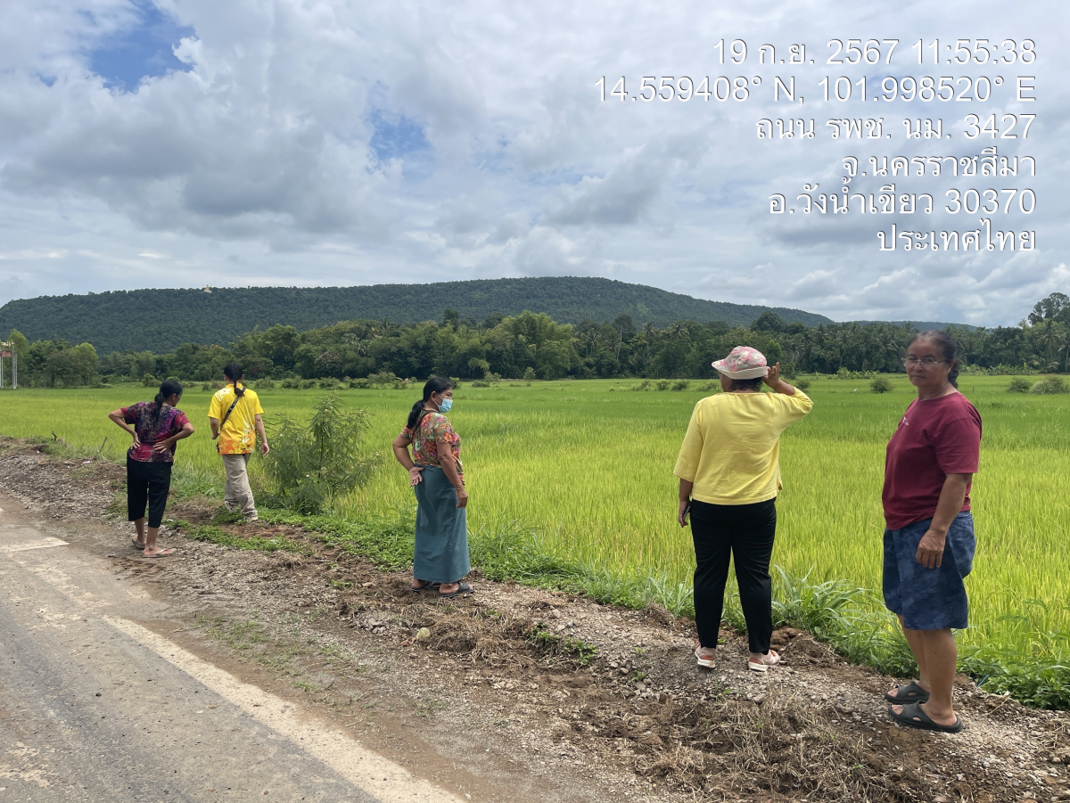 ร่วมลงพื้นที่รณรงค์การป้องกันและกำจัดเพลี้ยกระโดดสีน้ำตาลในนาข้าว
