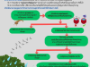 ประชาสัมพันธ์ แหล่งเพาะพันธุ์ยุงลายเป็นเหตุรำคาญ ตามกฏหมายว่าด้วยการสาธารณสุข