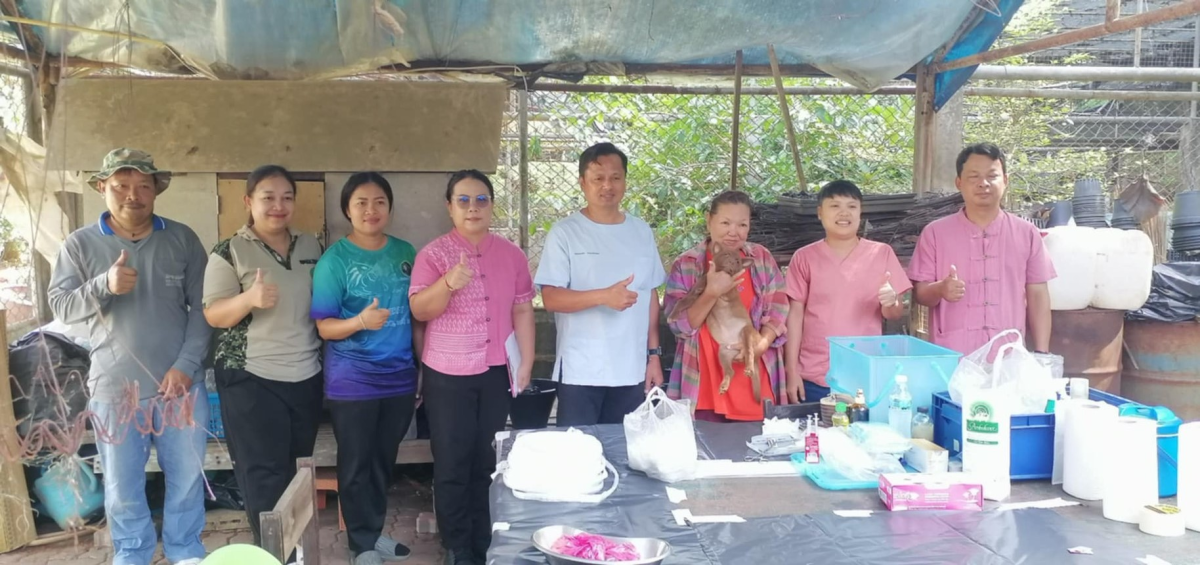 ร่วมกิจกรรม ทำหมันสุนัขจรจัด