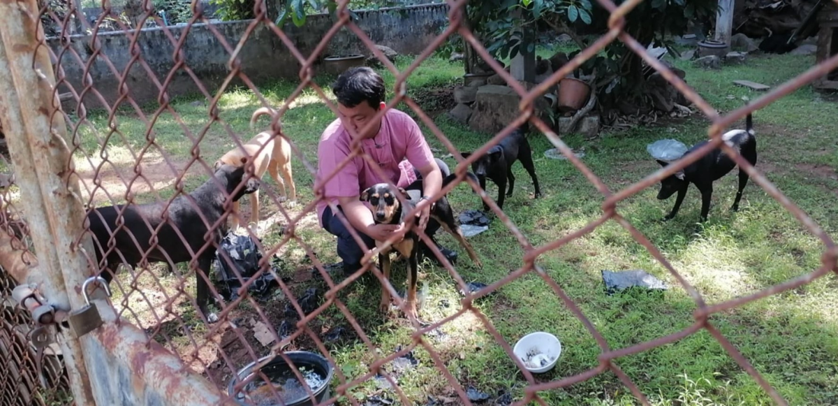 ร่วมกิจกรรม ทำหมันสุนัขจรจัด