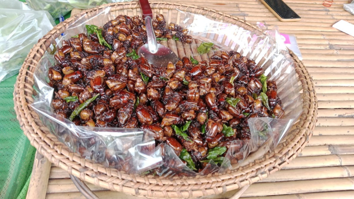 ข้อมูลภูมิปัญญาท้องถิ่น