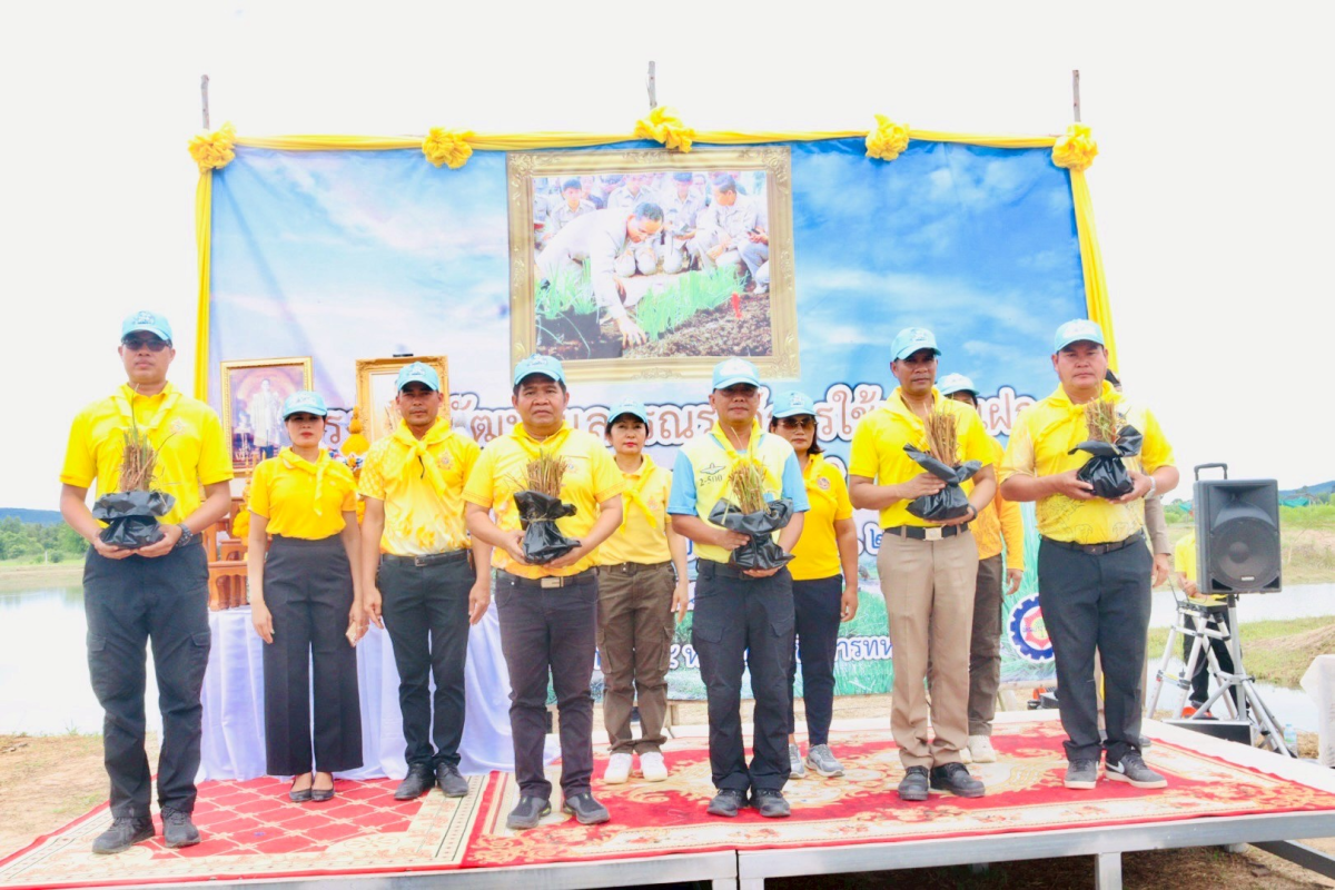 โครงการพัฒนาและรณรงค์การใช้หญ้าแฝกอันเนื่องมาจากพระราชดำริ  ประจำปีงบประมาณ พ.ศ. 2568