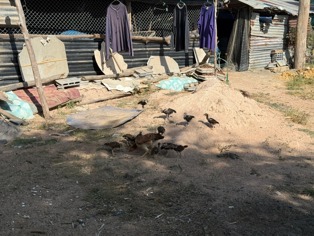 โครงการอนุรักษ์พันธุกรรมพืชตามแนวพระราชดำริสมเด็จพระเทพรัตนราชสุดาฯ สยามบรมราชกุมารีประจำปีงบประมาณ พ.ศ. 2568