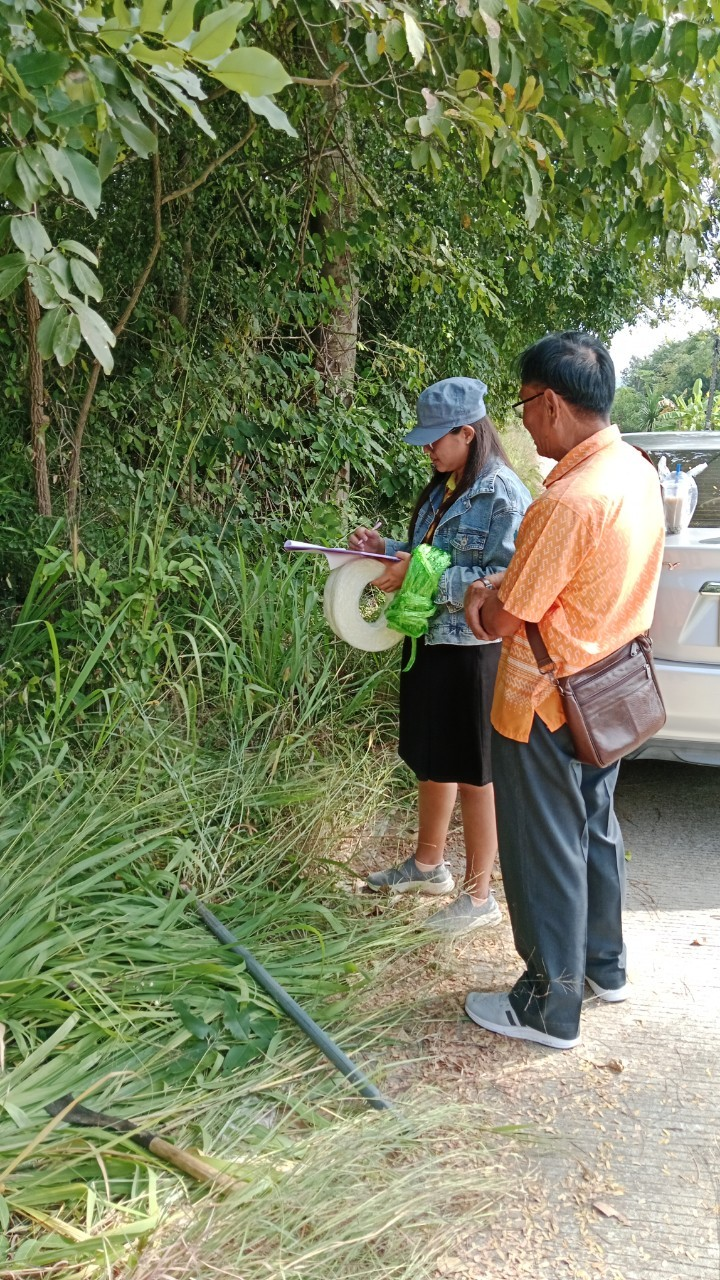 โครงการอนุรักษ์พันธุกรรมพืชตามแนวพระราชดำริสมเด็จพระเทพรัตนราชสุดาฯ สยามบรมราชกุมารีประจำปีงบประมาณ พ.ศ. 2568