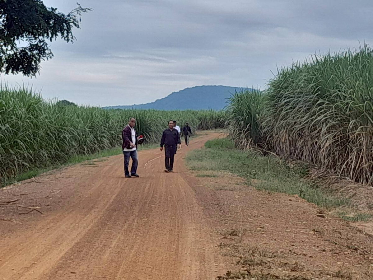 สำรวจพื้นที่ก่อสร้างถนนคอนกรีตเสริมเหล็ก ถนนหนองข้าวเหนียว บ้านโนนเหลื่อม-บ้านหัวเขาทอง หมู่ที่ 2