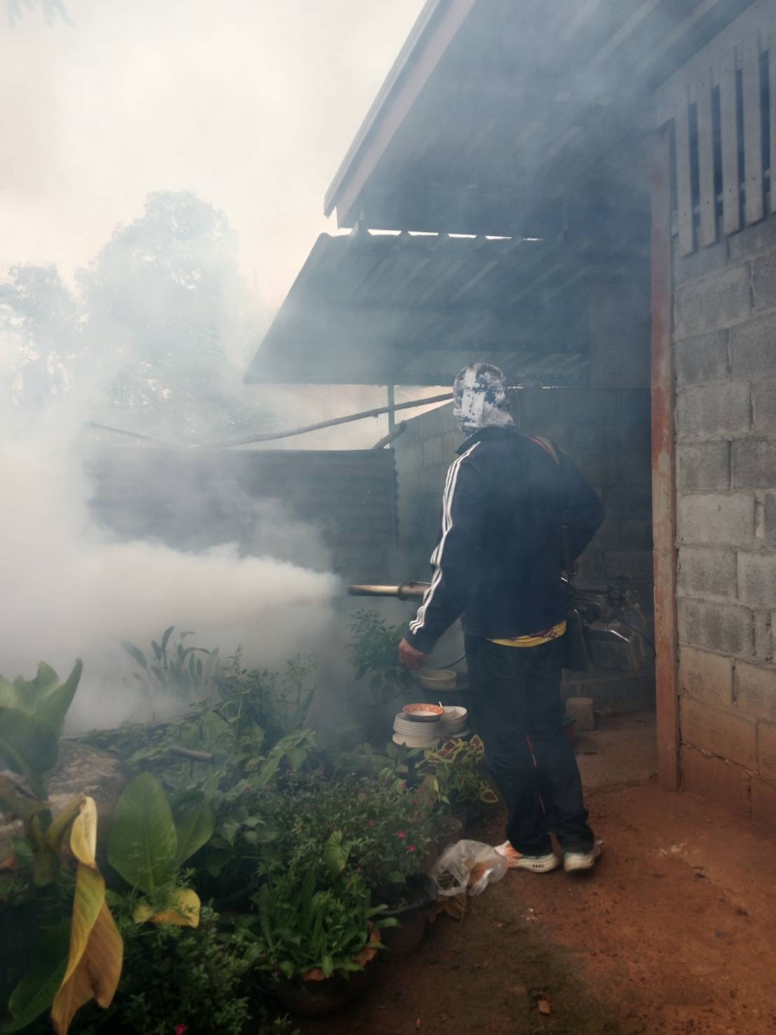 กิจกรรมฉีดพ่นหมอกควันกำจัดลูกน้ำยุงลาย ภายในหมู่บ้านวังน้ำเขียว ม.9