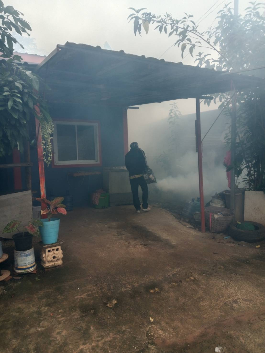 กิจกรรมฉีดพ่นหมอกควันกำจัดลูกน้ำยุงลาย ภายในหมู่บ้านวังน้ำเขียว ม.9