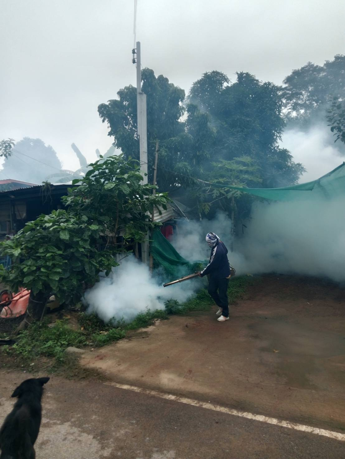 กิจกรรมฉีดพ่นหมอกควันกำจัดลูกน้ำยุงลาย ภายในหมู่บ้านวังน้ำเขียว ม.9