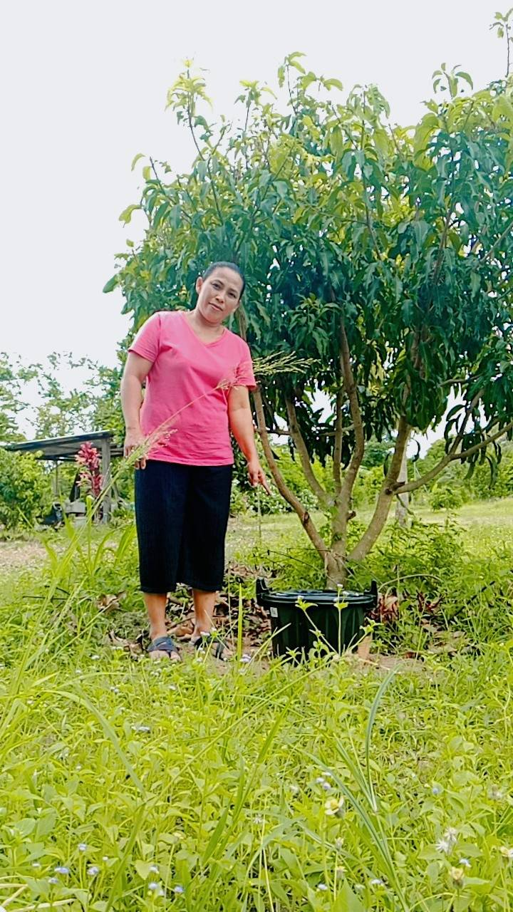 การขับเคลื่อนแผนปฏิบัติการเชิงกลยุทธแนวใหม่ RE-X-RAY โครงการถังขยะเปียก ลดโลกร้อนฯ ประจำปี พ.ศ. 2569 