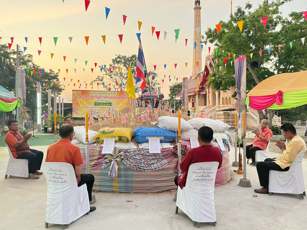 โครงการจัดงานสืบสานประเพณีบายศรี สู่ขวัญข้าว /รับขวัญต้นกล้าวัฒนธรรม (ผู้มีบุญเกิดใหม่) และร่วมกิจกรรมเวียนเทียนในวันมาฆะบูชา