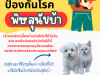 ประชาสัมพันธ์ ฉีดวัคซีนป้องกันโรคพิษสุนัขบ้า