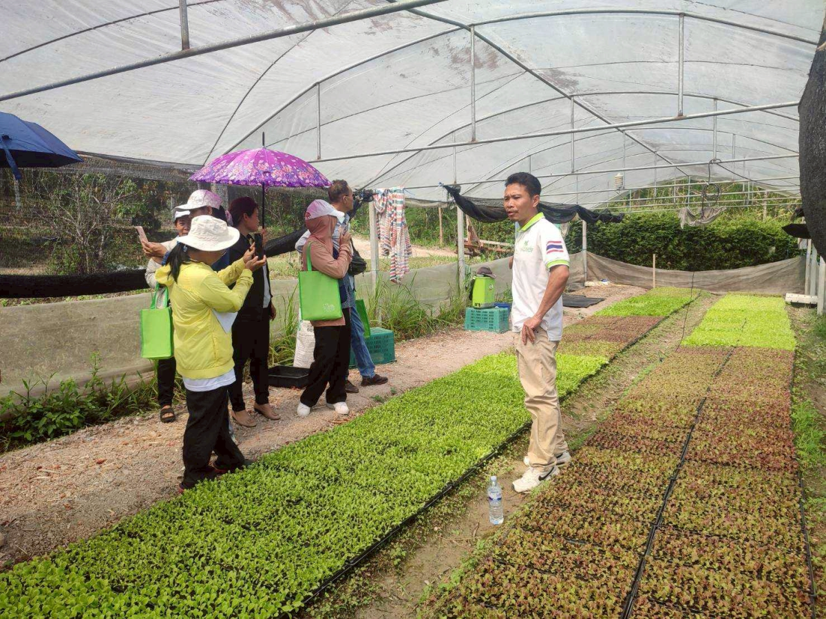 โครงการฝึกอบรมและศึกษาดูงานเกษตรยั่งยืนปลอดภัยไร้สารพิษและเกษตรผสมผสาน 