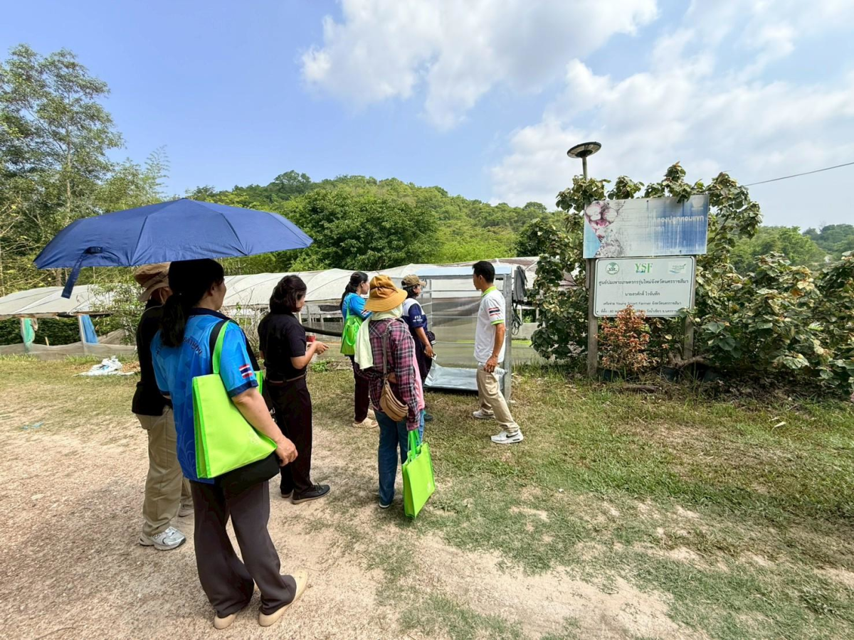 โครงการฝึกอบรมและศึกษาดูงานเกษตรยั่งยืนปลอดภัยไร้สารพิษและเกษตรผสมผสาน 