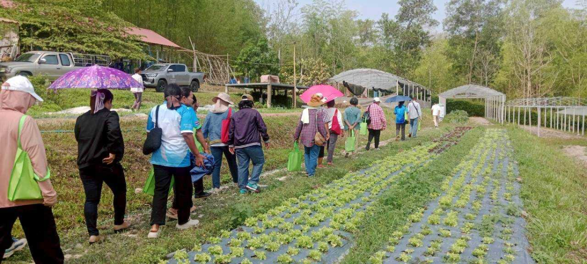 โครงการฝึกอบรมและศึกษาดูงานเกษตรยั่งยืนปลอดภัยไร้สารพิษและเกษตรผสมผสาน 
