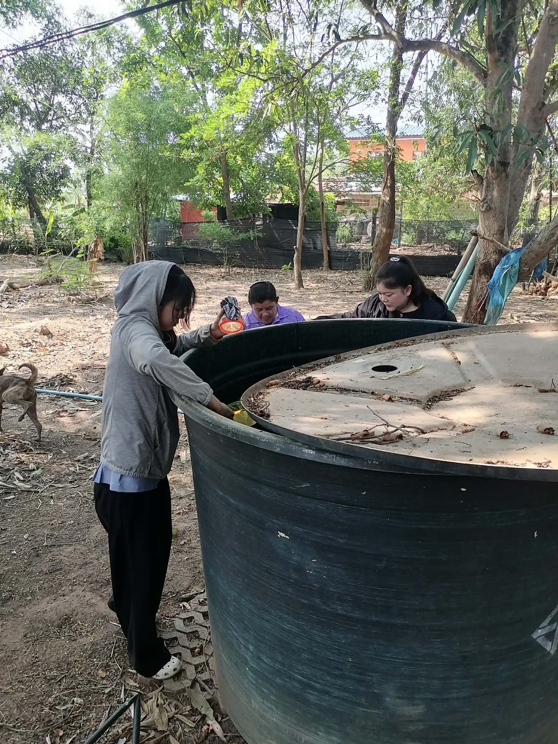 กิจกรรมศึกษาความต้านทานของยุงต่อสารเคมีในพื้นที่เสี่ยงสูง โดยดำเนินการเก็บตัวอย่างลูกน้ำยุงลาย ในพื้นที่หมู่บ้านหัวเขาทอง ม.15 