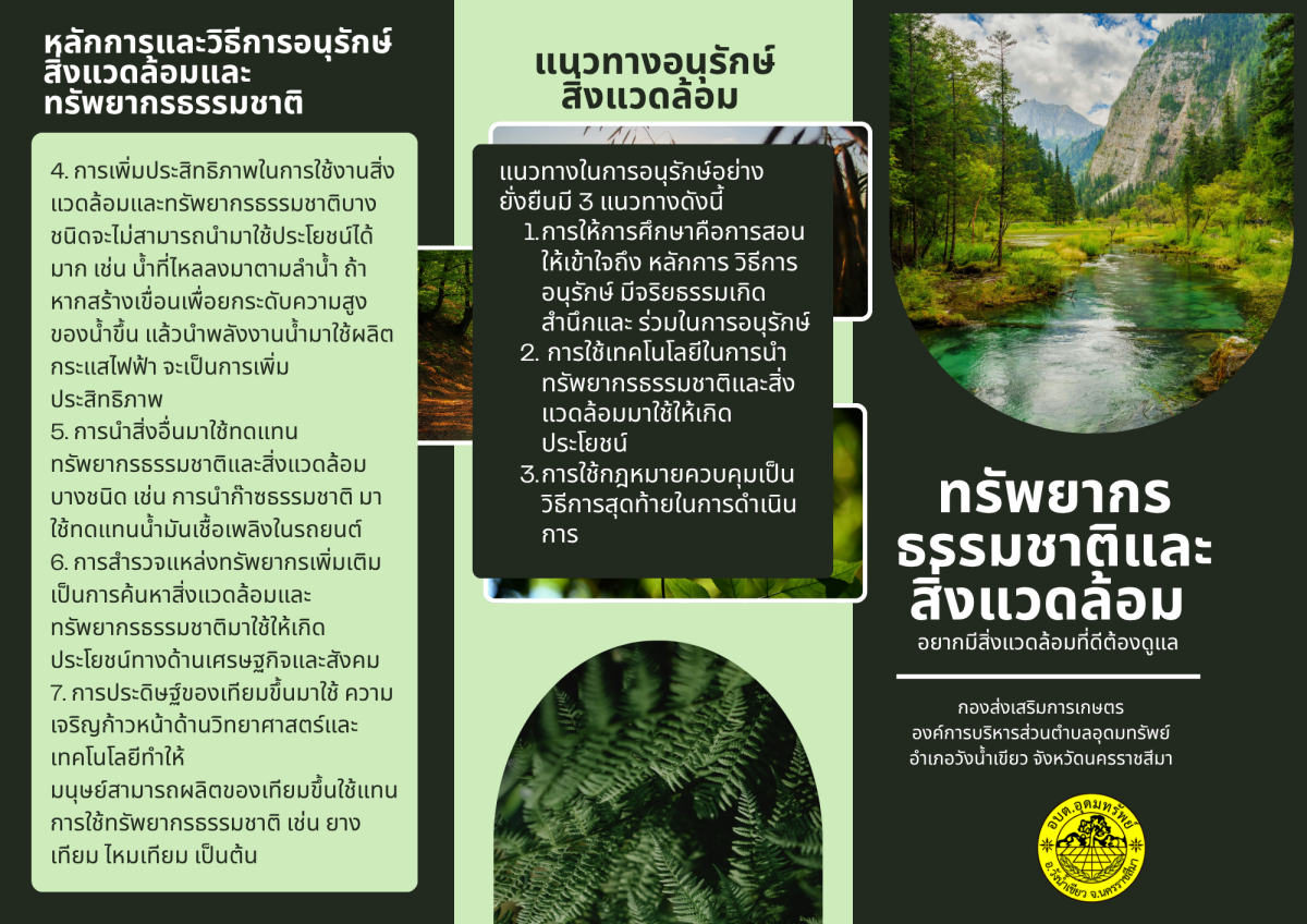 การพัฒนาและดูแลรักษาพื้นที่สีเขียว