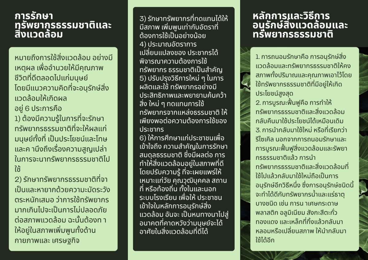 การพัฒนาและดูแลรักษาพื้นที่สีเขียว