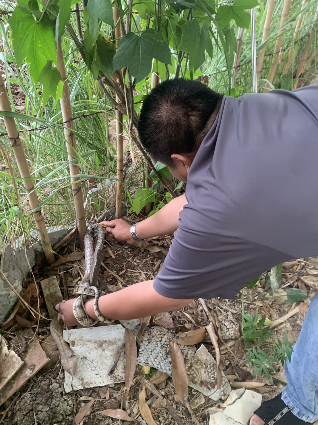 งานป้องกันและบรรเทาสาธารณภัยออกปฏิบัติการช่วยเหลือประชาชน