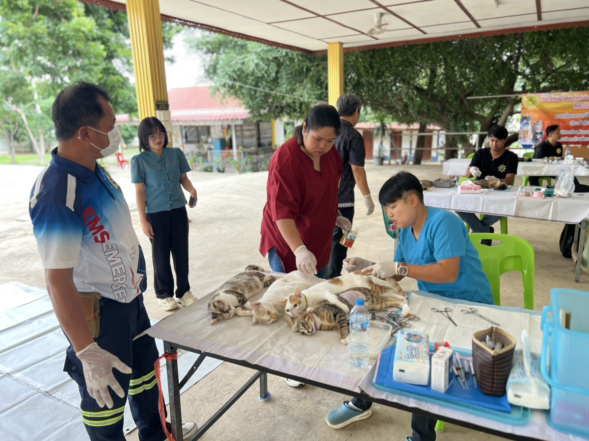 โครงการป้องกันและควบคุมโรคพิษสุนัขบ้า ประจำปีงบประมาณ พ.ศ.2569 